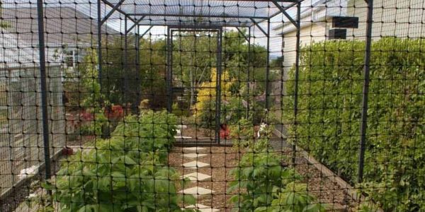 Bird Exclusion Net