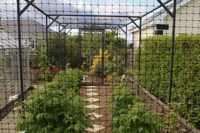 Bird Exclusion Net