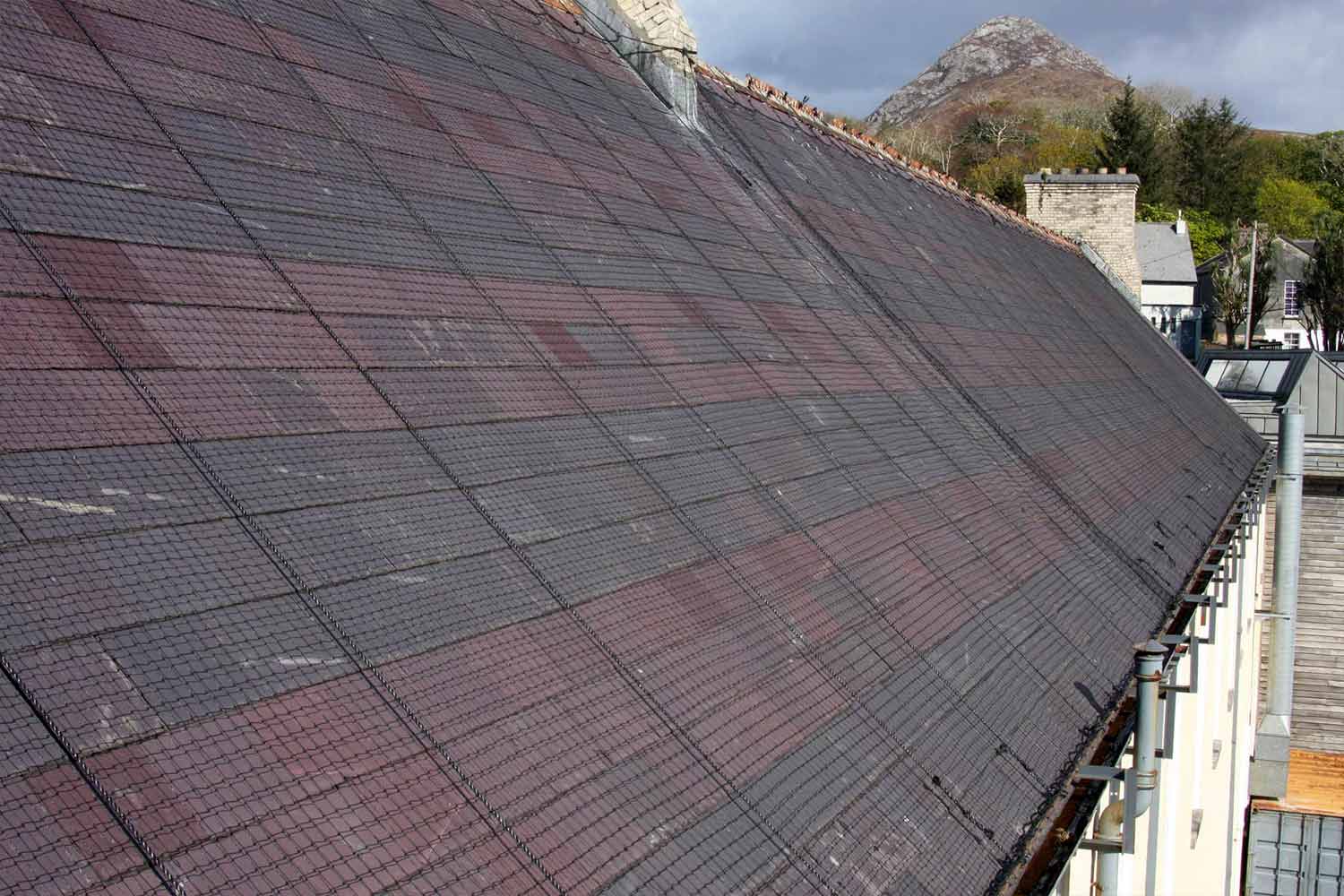 roof net